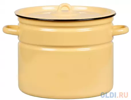 Кастрюля СТАЛЬЭМАЛЬ 2С200 25 см 9 л эмалированная сталь