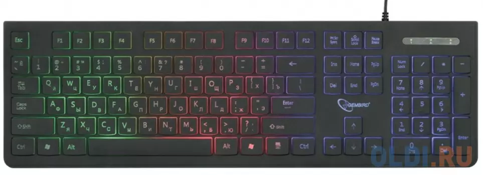 Клавиатура проводная Gembird KB-250L USB черный