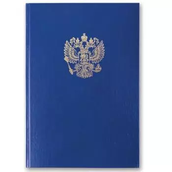 Книга учета BRAUBERG Книга учета A4 96 листов 130141