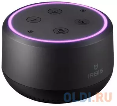 Колонка портативная Irbis A01 1.0 (моно-колонка) Черный