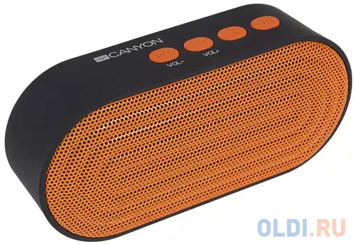 Колонки CANYON CNE-CBTSP3BO Black/Orange (Bluetooth ,8ч,Micro-SD)