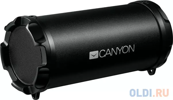 Колонки CANYON CNE-CBTSP5 Black (Bluetooth 4.2,Micro-SD,6Вт,4ч работы)