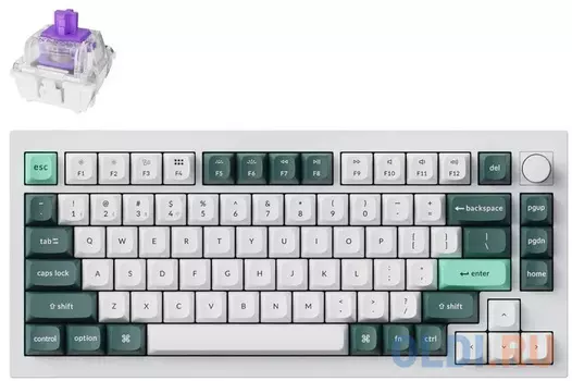 Компактная (75%) механическая клавиатура Keychron Q1 HE - 3 типа подключения, 82 клавиши, цвет Shell White, магнитные переключатели Gateron Nebula, ан