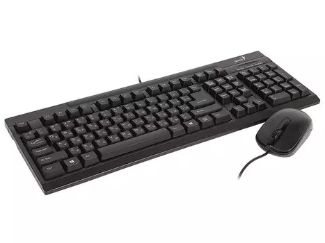 Комплект Genius KM-125 (KM-125 + DX-120) Black USB клавиатура: 104 клавиши / мышь: оптическая, 800dpi, 3 кнопки + колесо