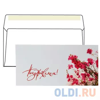 Конверт С65 КУРТ "Поздравляем" 1 шт 130 г/м2 с рисунком