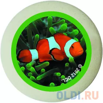 Ластик Action! Animal Planet 1 шт круглый AP-AER115 в ассортименте AP-AER115