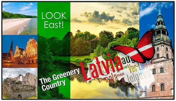 LED панель Panasonic TH-42LF80W 1920х1080,1300:1,700кд/м2,проходной DVI,USB