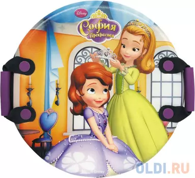 Ледянка 1toy «Disney» София Т57206 разноцветный рисунок