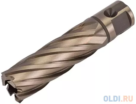 LENZ Сверло корончатое д.20х55 мм LZHM-020