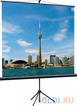 [LEV-100105] Экран на штативе Lumien Eco View 160x160 см Matte White с возможностью настенного крепления 1:1