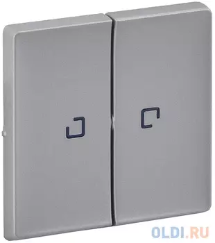 Лицевая панель Legrand Valena Life для выключателя 2-клавишного с подсветкой алюминий 755222