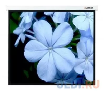 [LMC-100110] Экран с электроприводом Lumien Master Control 229x305 см (146") Matte White FiberGlass черн. кайма по периметру