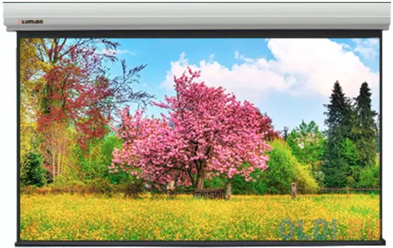 [LMLC-100101] Экран с электроприводом Lumien Master Large Control 399x518 см (раб. область 381x508 см) (250") Matte White FiberGlass черн. кайма по периметру, стальной корпус 4:3, IR и RF управление входит в комплект