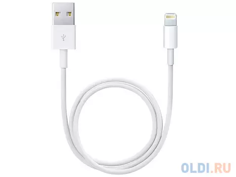 Кабель Lightning до 0.5м Apple круглый ME291ZM/A