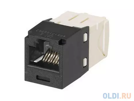 Модуль PANDUIT CJ6X88TGBL RJ45 TX6 10Gig T568A/B черный