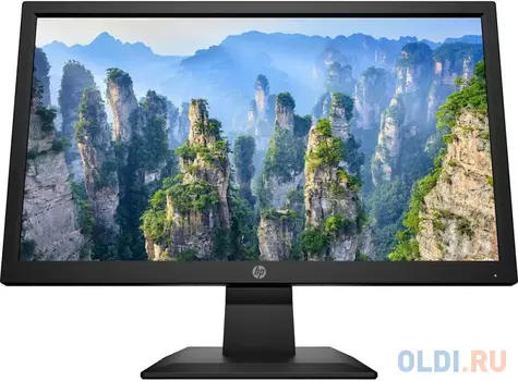 Монитор 20" HP V20 черный TN 1600x900 200 cd/m^2 5 ms HDMI VGA 1H850AA