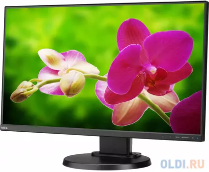 Монитор 23.8" NEC E241N-BK черный AH-IPS 1920x1080 250 cd/m^2 6 ms HDMI DisplayPort VGA Аудио E241N-BK