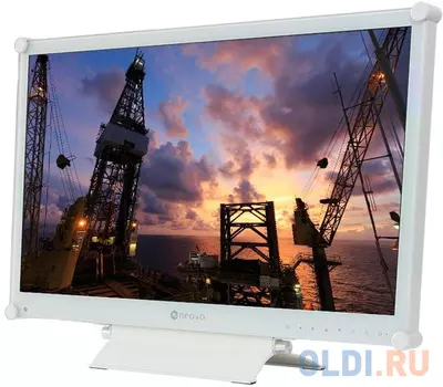 Монитор 24" Neovo RX24-G белый TFT-TN 1920x1080 300 cd/m^2 3 ms VGA DVI HDMI DisplayPort S-Video Композитный вход Компонентный вход Аудио USB
