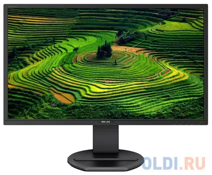 Монитор 27" Philips 271B8QJEB/00 черный IPS 1920x1080 250 cd/m^2 5 ms DVI HDMI DisplayPort VGA Аудио USB