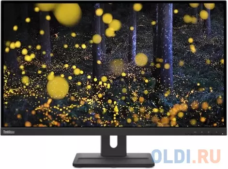 Монитор Lenovo 27" ThinkVision E27q-20 черный IPS LED 4ms 16:9 HDMI M/M матовая HAS Piv 1000:1 350cd 178гр/178гр 2560x1440 75Hz DP 2K 6.6кг