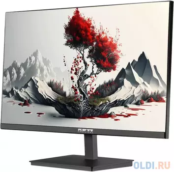 Монитор RDW Computers 23.8" RDW2401K черный IPS 4ms 16:9 HDMI M/M матовая HAS Piv 1000:1 300cd 178гр/178гр 1920x1080 100Hz VGA DP FHD 1.7кг (RUS)