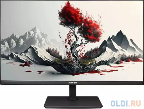 Монитор RDW Computers 23.8" RDW2401K черный IPS 5ms 16:9 HDMI M/M матовая HAS Piv 1000:1 300cd 178гр/178гр 1920x1080 120Hz VGA DP FHD 4.185кг (RU
