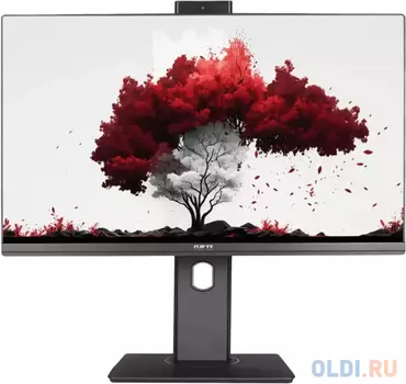 Монитор RDW Computers 23.8" RDW2402K черный IPS 5ms 16:9 HDMI M/M Cam матовая HAS Piv 250cd 178гр/178гр 1920x1080 60Hz VGA DP FHD USB 4.185кг (RU