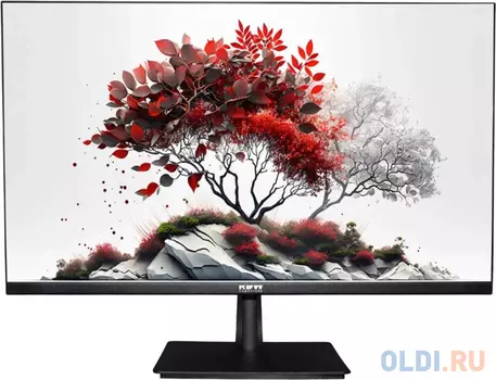 Монитор RDW Computers 27" RDW2701K черный IPS 5ms 16:9 HDMI M/M HAS Piv 1000:1 300cd 178гр/178гр 1920x1080 100Hz VGA DP FHD (RUS)
