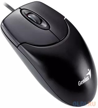 Мышь проводная Genius NetScroll 120 V2 чёрный USB