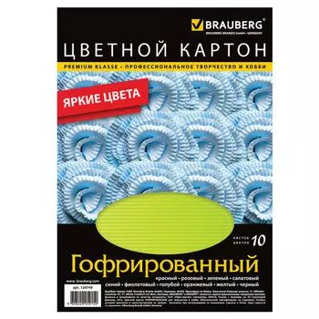 Набор цветного картона BRAUBERG гофрированный A4 10 листов 124749