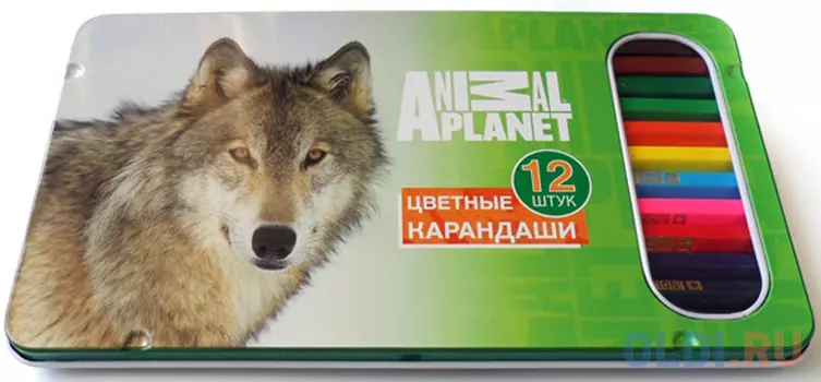 Набор цветных карандашей Action! Animal Planet 12 шт AP-ACP305-12 AP-ACP305-12