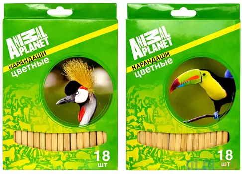 Набор цветных карандашей Action! Animal Planet 18 шт AP-ACP105-18 AP-ACP105-18
