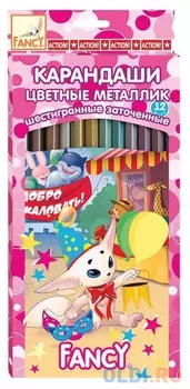 Набор цветных карандашей Action! Fancy 12 шт FCP201-12 FCP201-12