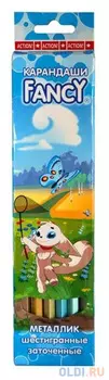 Набор цветных карандашей Action! Fancy 6 шт FCP201-6 FCP201-6