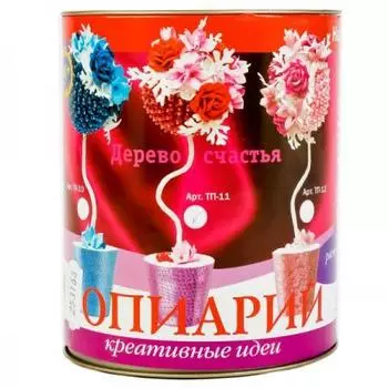 Набор для творчества ВОЛШЕБНАЯ МАСТЕРСКАЯ ТП-11 Топиарий Танго