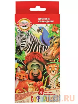 Набор карандашей Koh-i-Noor САФАРИ 12 шт 3552/12 S KS