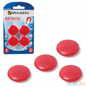 Набор магнитов BRAUBERG 231732