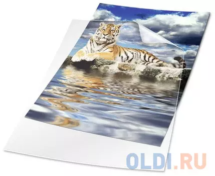 Набор: папка-уголок Durable, A4, 120 микрон, полипропилен, 50 штук, цвет прозрачный