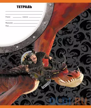 Набор тетрадей ACTION! DRAGONS, мелов. картон, клетка, ф. А5, 24 л., 4 диз., 12 шт