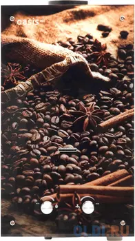 Настенный проточный газовый водонагреватель Oasis K-20 D(R)