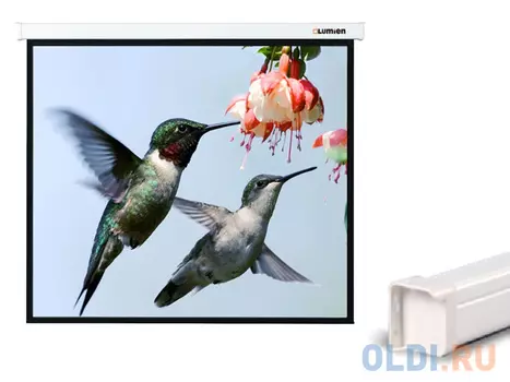 [LMC-100103] Экран с электроприводом Lumien Master Control 203x203 см Matte White FiberGlass черн. кайма по периметру