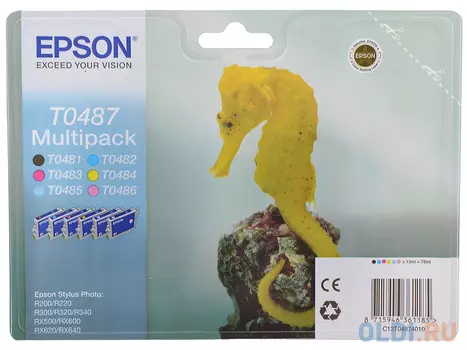 Набор картриджей Epson C13T04874010 430стр Многоцветный