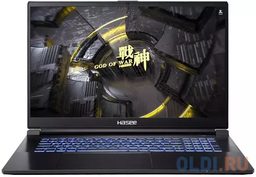 Ноутбук HASEE G8R9 G8R9 17.3"