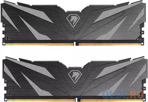 Оперативная память для компьютера Netac Shadow II DIMM 16Gb DDR5 4800 MHz NTSWD5P48DP-16K