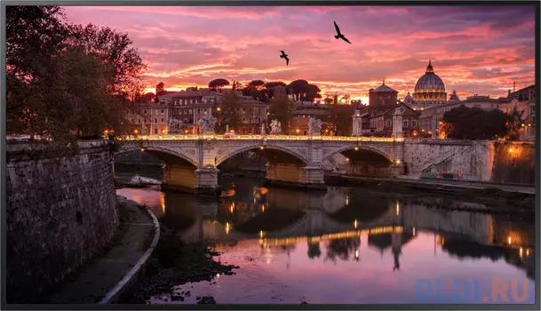 Панель Samsung 65" QB65B черный VA LED 8ms 16:9 DVI HDMI M/M матовая 350cd 178гр/178гр 3840x2160 DP RCA 4K USB 24.9кг