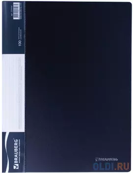 Папка 100 вкладышей BRAUBERG стандарт, черная, 0,9 мм, 221610