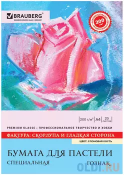 Папка для пастели BRAUBERG 126306 A4 20 листов