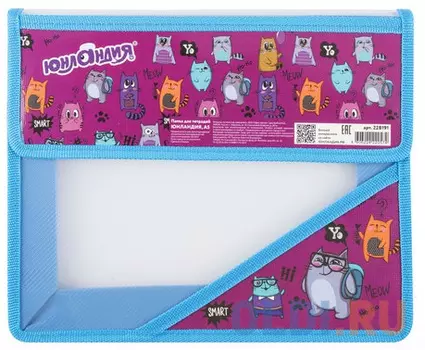 Папка для тетрадей ЮНЛАНДИЯ, А5, пластик, 2 отделения, пластик, клапан на липучке, Meow, 228191