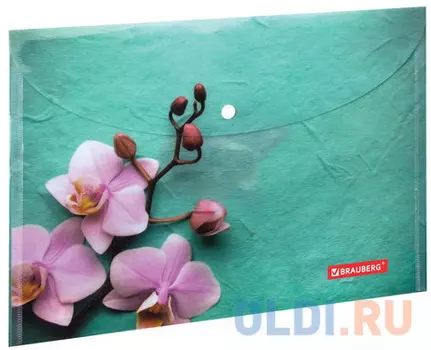 Папка-конверт с кнопкой BRAUBERG "Флора", А4, 160 мкм, до 100 листов, цветная печать, 228031