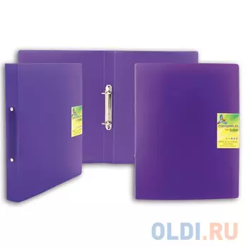 Папка на 2 кольцах COLOURPLAY, ф.A4, ассорти, 0.75мм ICPR/20/2/ASS